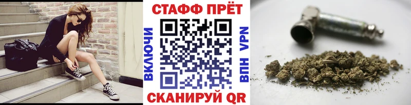 Галлюциногенные грибы Тайга