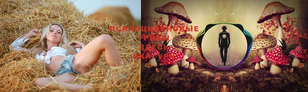 кокаин колумбия Баксан